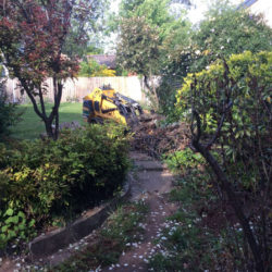 Griffth-mini-digger-Canberra