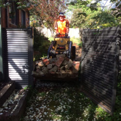 Griffth-mini-digger-Canberra4