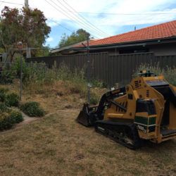 theodore-mini-digger-landscaping-canberra