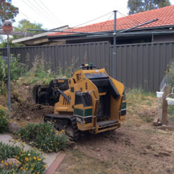 theodore-mini-digger-landscaping-canberra2
